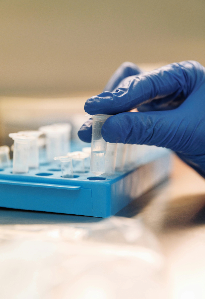 adobe express file (7)